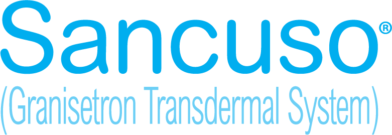 Sancuso Patch Featured in Time Magazine - The Top 10 Everything of 2008
